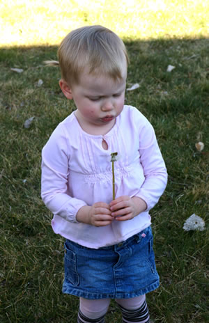 eden blowing on a dandelion